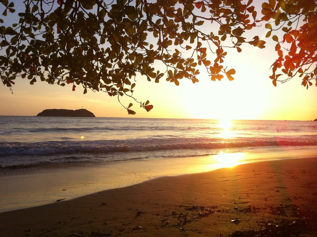 Casa Libertinn Manuel Antonio Luaran gambar