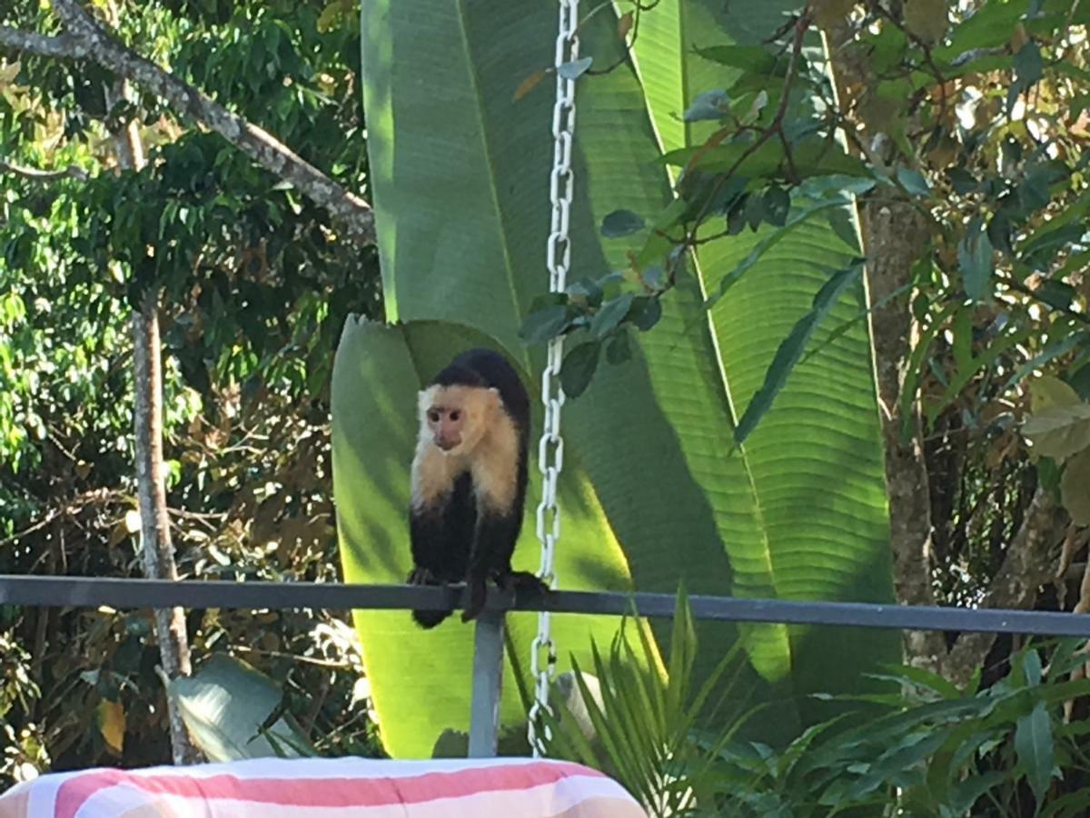 Casa Libertinn Manuel Antonio Luaran gambar